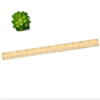 12inch-ruler-bamboo